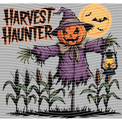 Halloween-WS 10874